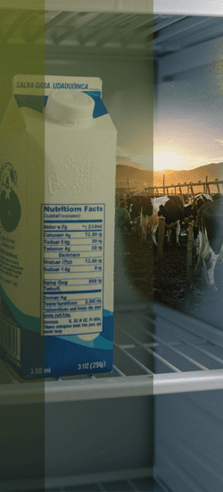 Del storytelling al story-doing